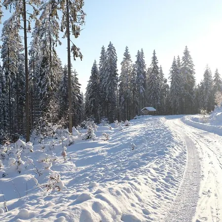 בית הארחה Stary Dom