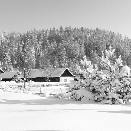 Stary Dom Guest house *