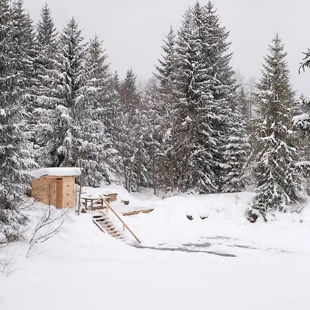 Guest house Stary Dom *