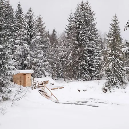 Guest house Stary Dom *