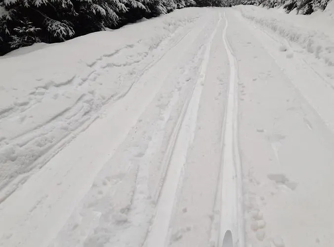 Stary Dom Maison d'hôtes